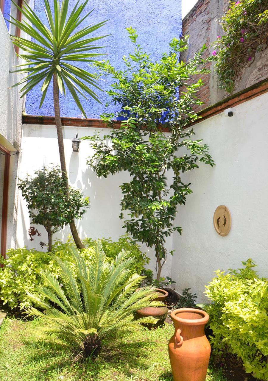 Casa Coyoacan Mexico Extérieur photo