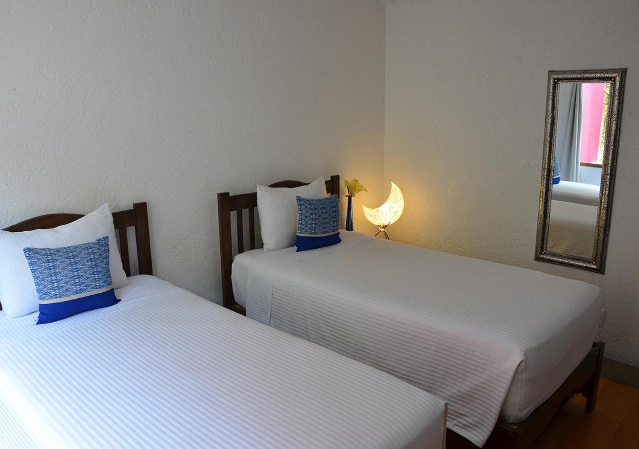 Casa Coyoacan Mexico Extérieur photo