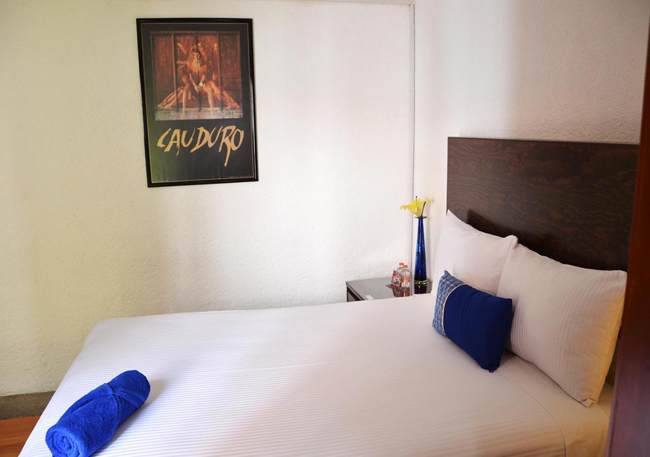 Casa Coyoacan Mexico Extérieur photo