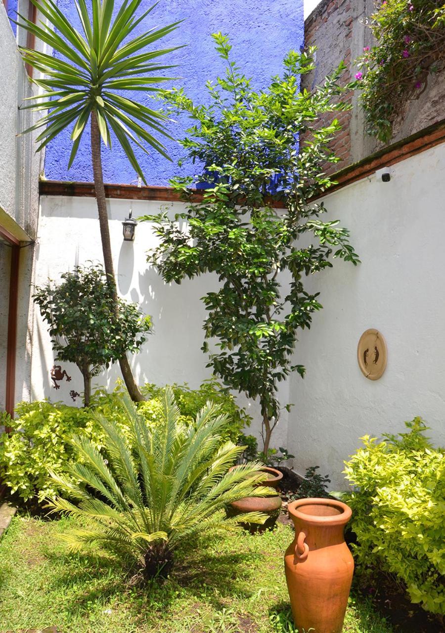Casa Coyoacan Mexico Extérieur photo